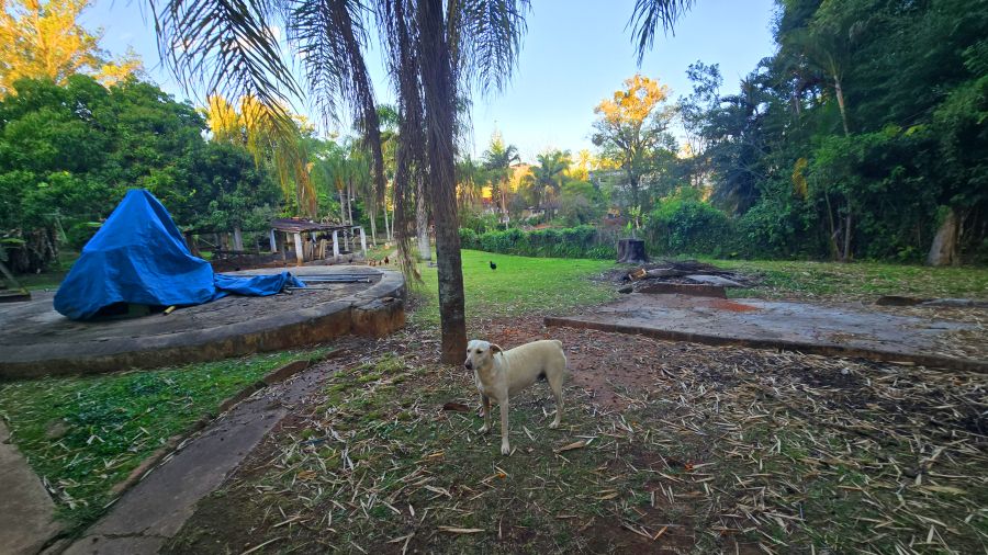Chácara, 2998 m² - Foto 14
