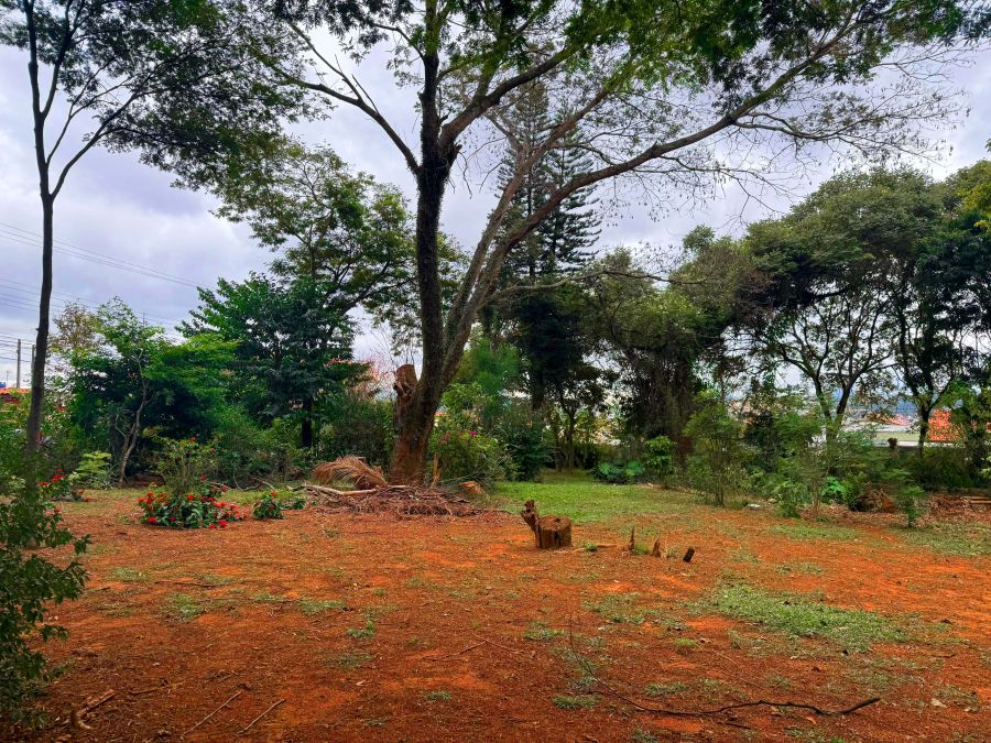 Terreno, 340 m² - Foto 16