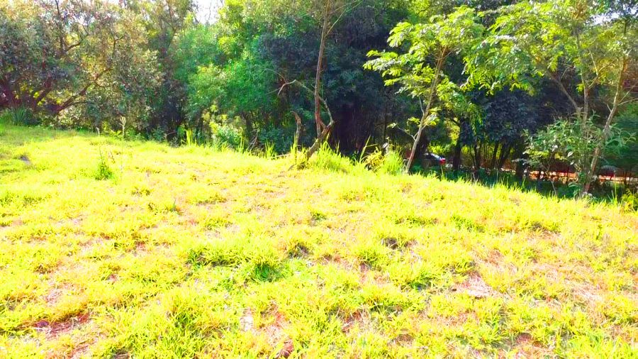 Terreno, 504 m² - Foto 2