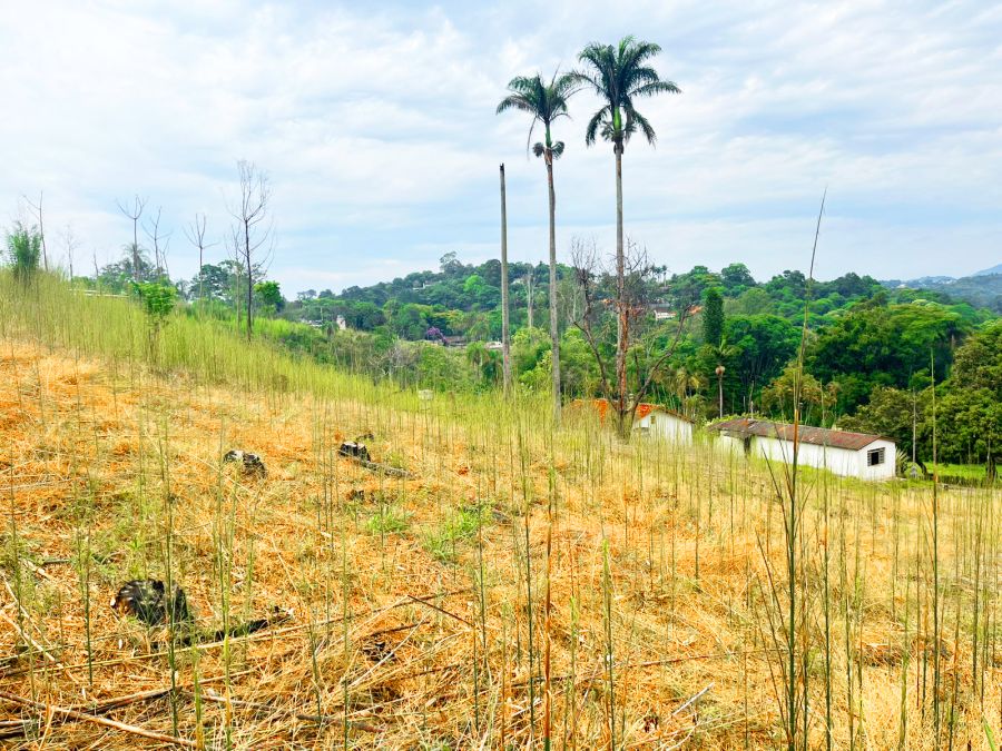 Chácara, 3 quartos, 2040 m² - Foto 16