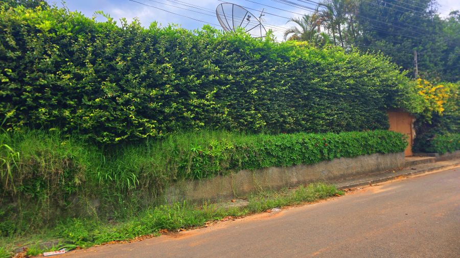 Terreno, 125 m² - Foto 22