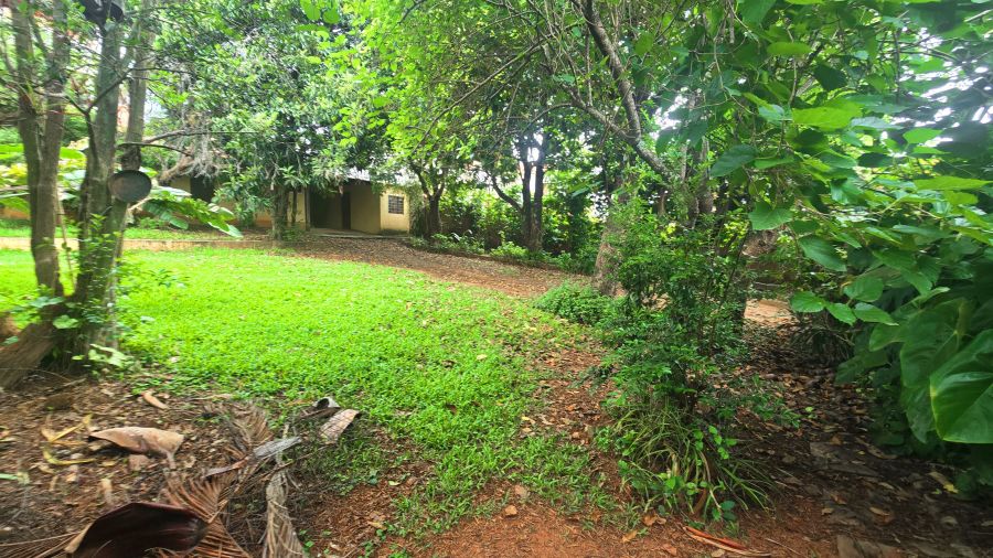 Terreno, 125 m² - Foto 15