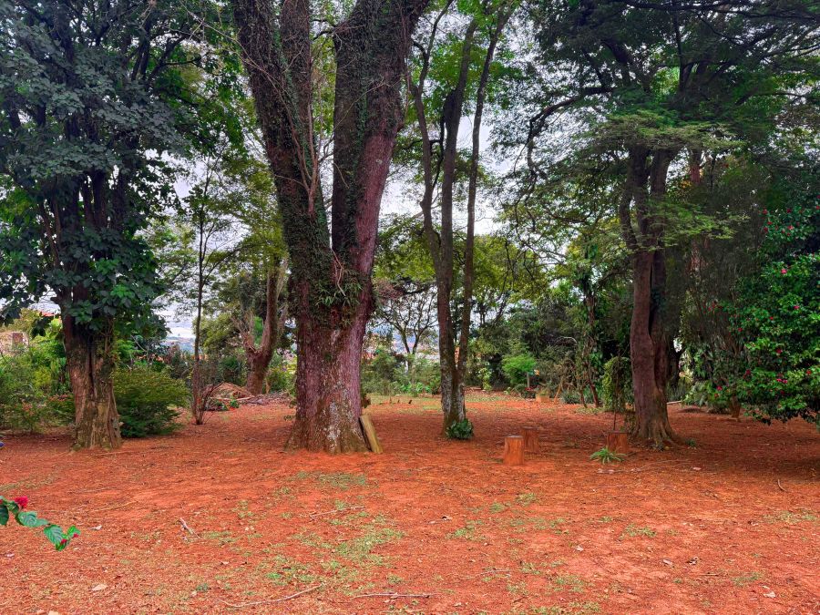 Terreno, 340 m² - Foto 18