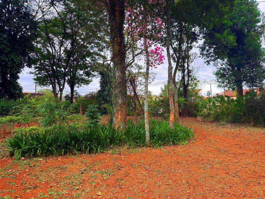 Terreno, 340 m² - Foto 12