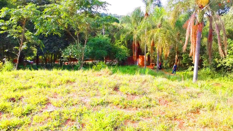 Terreno, 504 m² - Foto 3