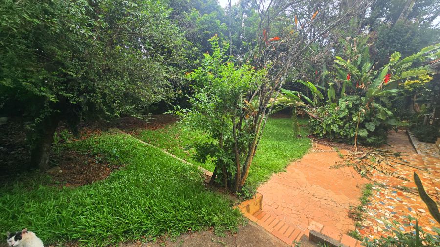 Terreno, 125 m² - Foto 20