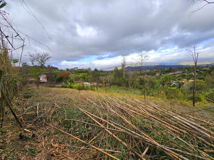 Chácara, 2998 m² - Foto 6