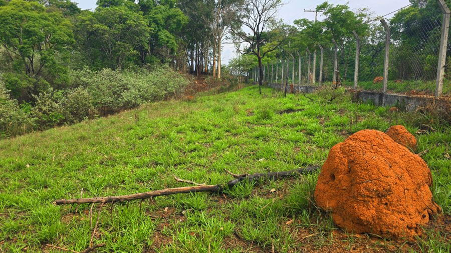 Terreno - Venda - Jardim Estância Brasil - Atibaia - SP