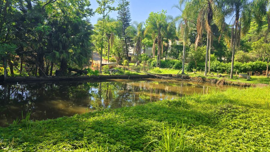 Terreno - Venda - Jardim Est�ncia Brasil - Atibaia - SP