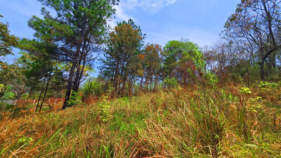 Terreno - Venda - Estncia San Remo - Atibaia - SP