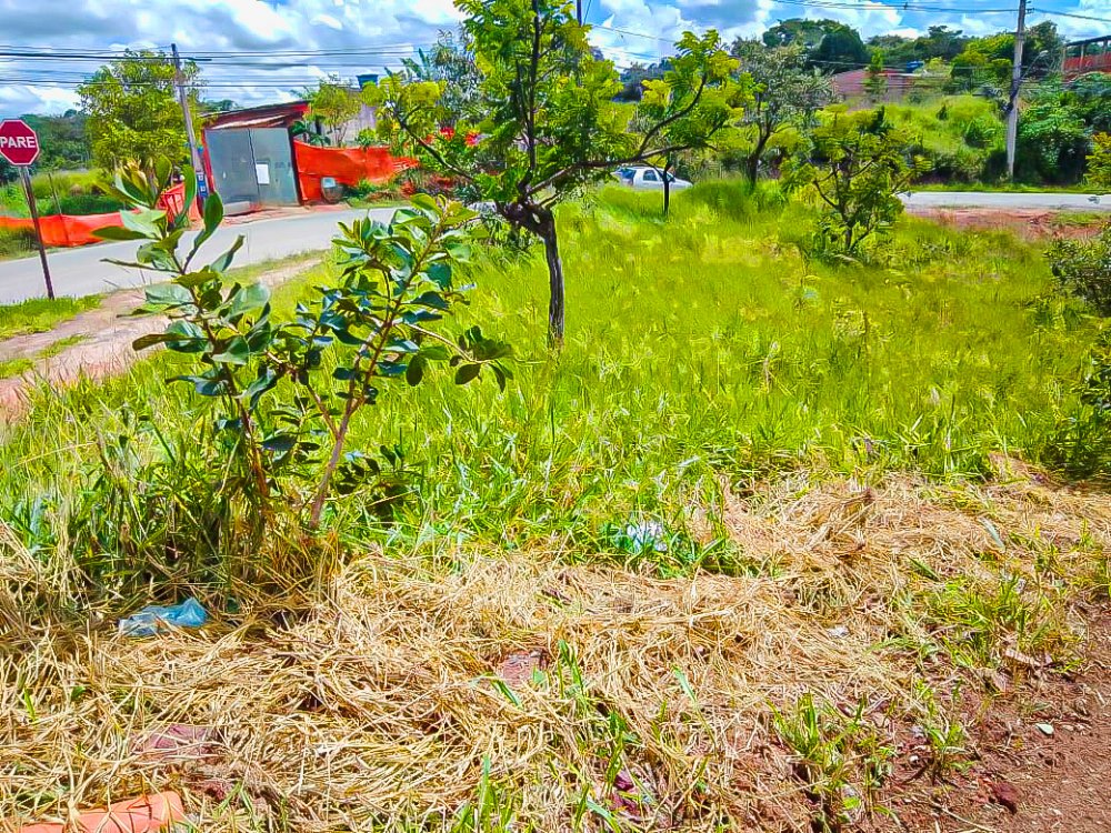 Terreno - Venda - Vila Primavera - Jarinu - SP